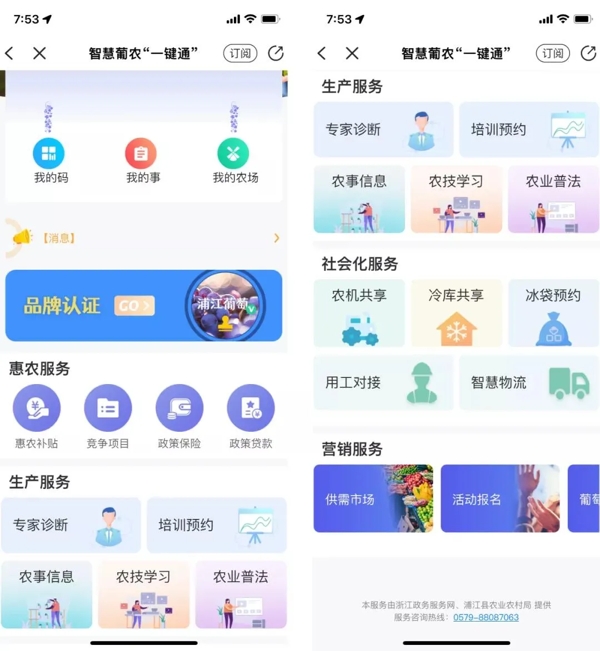 浦江开启葡农一键通，帮助农户“种好、管好、卖好葡萄”